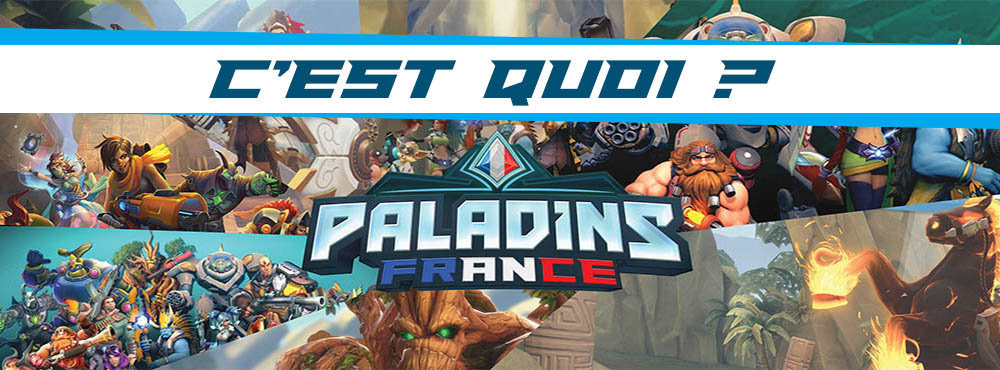 C'est quoi Paladins France