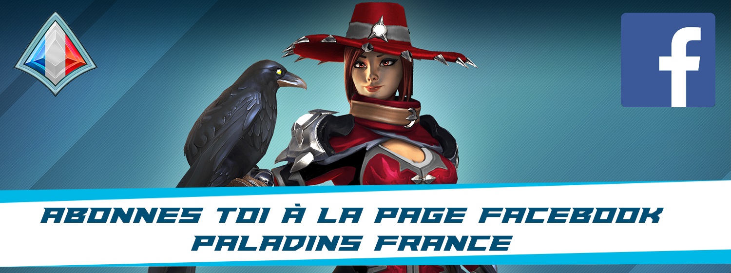 Bannière Facebook Paladins France