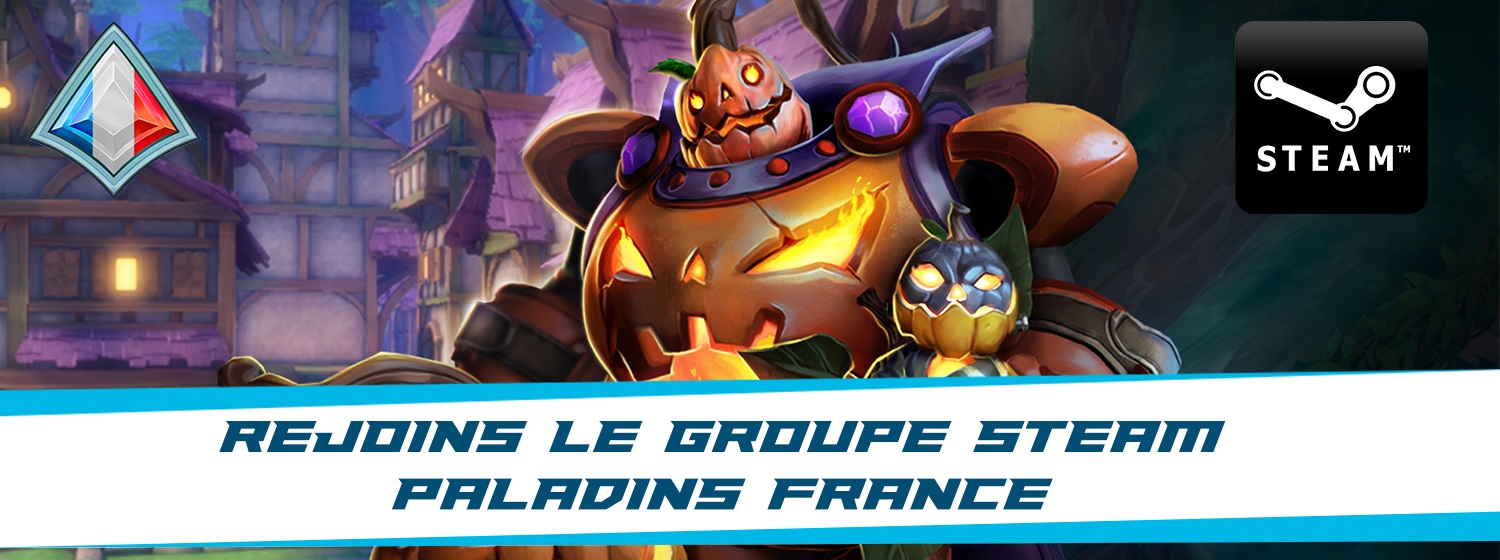 Bannière Steam Paladins France