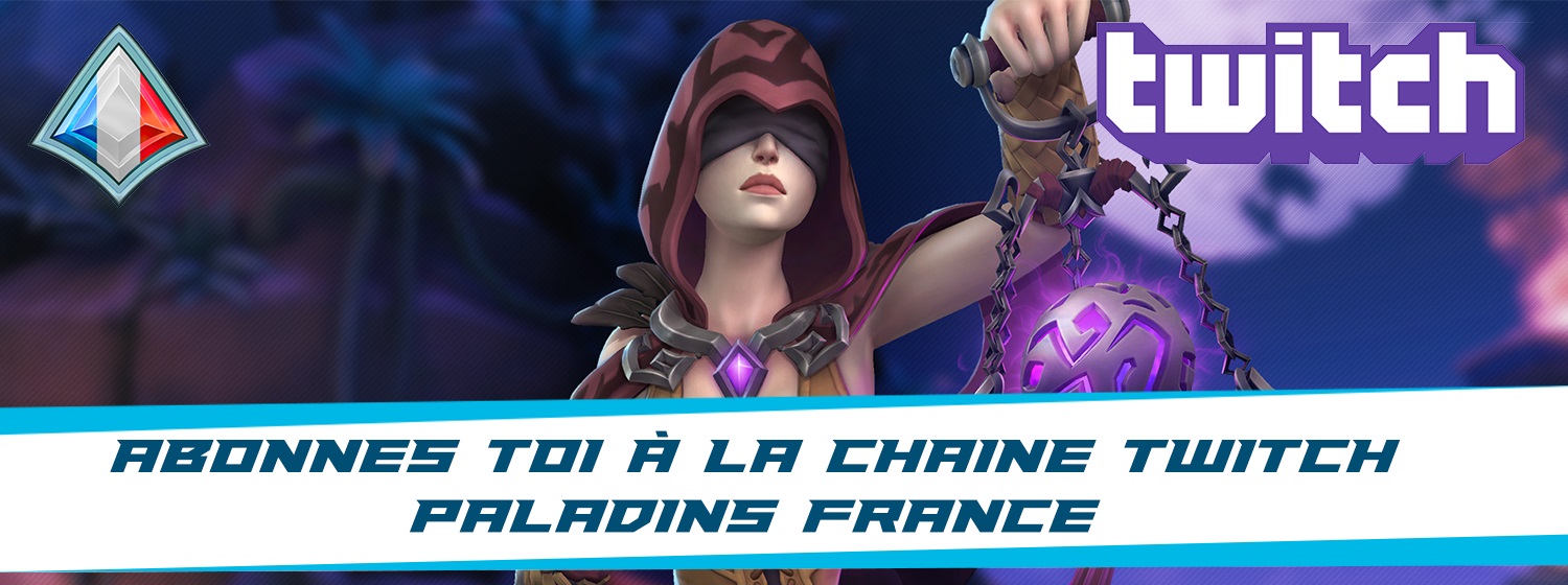 Bannière Twitch Paladins France