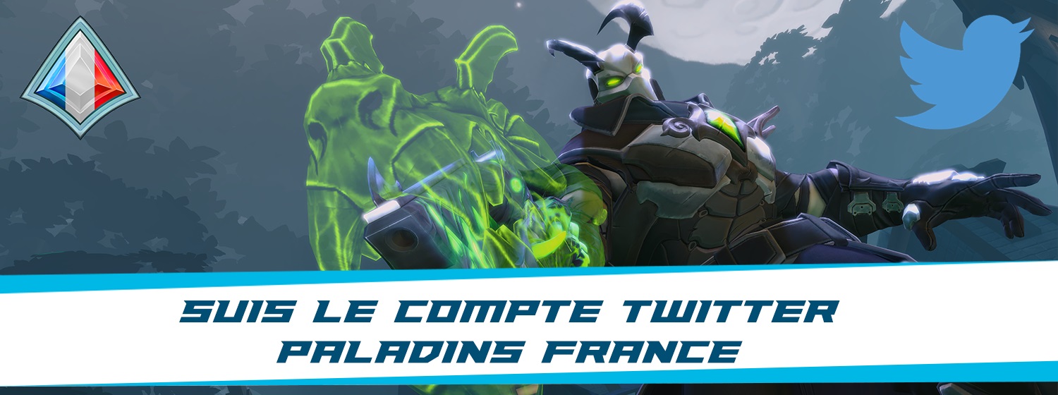 Bannière Twitter Paladins France