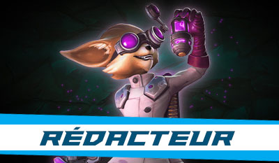 Rédacteur Paladins France